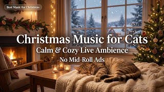 🎄🐱 Christmas Music for Cats LIVE — Calm & Cozy Ambience (No Mid-Roll Ads)