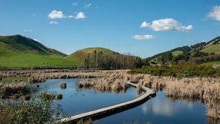 2021 PekaPeka Wetlands Hawke's Bay New Zealand videography by Stu Davies Infinite Media