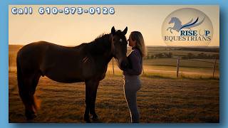 🎶Rise Up Equestrians - Where the horses get a second chance! Tribute Song by Non-profit Donate Media