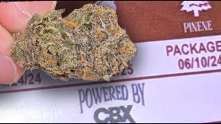 Cali Strain Review 21 | Reviewing a Cherry Pie Indoor Top Shelf Weed Sample!