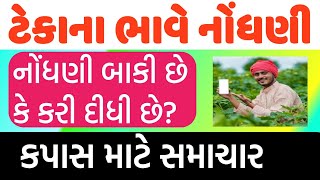 ટેકાના ભાવે નોંધણી, કપાસના ખેડૂતો માટે નવી અપડેટ, KAPAS BHAVE NODHANI, TEKA NA BHAV, KHEDUT 