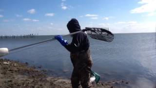 Clamming on Barnegat Bay