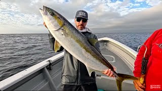 They're Biting Non-Stop!