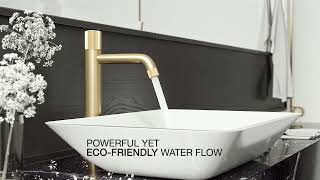 VIGO Apollo Single Hole Vessel Bathroom Faucet (VG03031)