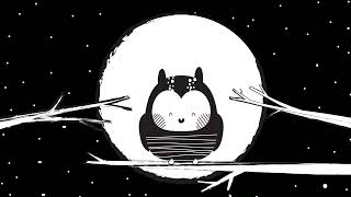 Sleepy Owl - High Contrast Black White baby sensory Mozart Classical Music fun video sleep instant