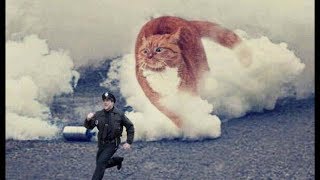 Il est cinq heures (Legendado PT-BR)