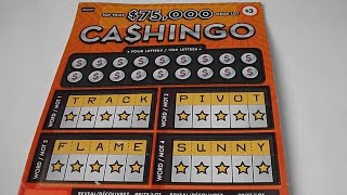 2025-10-06 Ontario Lottery OLG Instant Scratch Ticket #2531 $3 Ca$hingo #001 - ASMR