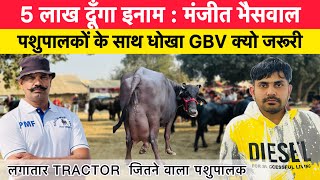 5 लाख दूँगा इनाम : मंजीत भैसवाल | पशुपालकों के साथ धोखा BREED VALUE क्यो जरूरी || प्रवीण फौजी ||