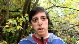 My Journey (Ascension Pioneers)