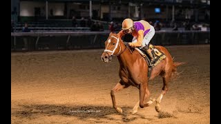 Kentucky Derby Radar, Episode 1, 2026