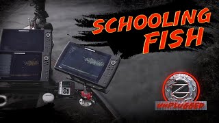 Fishing for Schooling Bass - ZONA UNPLUGGED Episode #5