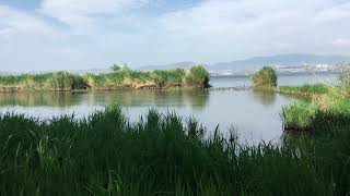 Soothing Winds: Natural White Noise, Wind Sounds for Relaxation and Sleep