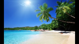 TV Tim Sweden #822 - 2 b or not 2 b -