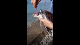 😂 BEST MEMES COMPILATION UNUSUAL MEMES - FUNNY MOMENT  V112