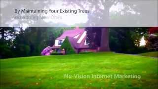 24 Hour Emergency Tree Service Fairfax Va| 703 457 8258