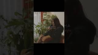 [Live] 초영 - What love will do to you 2절