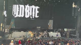 Child Bite - Smog & Viscera (Live @ Budweiser Stage 2023)