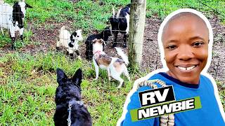 Solo Female RV Life | A Messy, Rainy Day In Florida