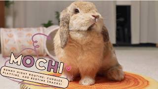 🐰✨🌙 My Bunny's Cozy Night Routine: Snuggles, Treats, and Sweet Dreams!