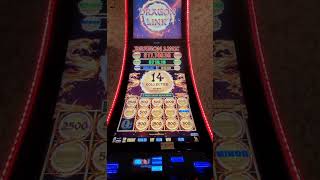 Vegas Vacation "Dragon Link"
