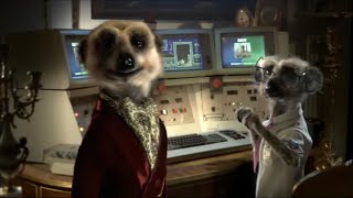 Compare The Meerkat Bloopers