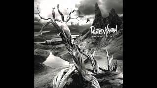 Mushroom Giant - "Scars of the Interior"