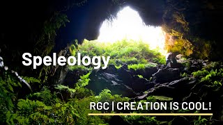 The Wonders of Caves | Speleology | Creation is Cool