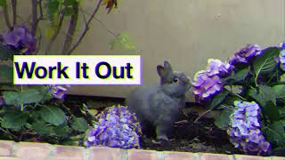 SOPHIE GREY. - Work It Out (Official Music Video)