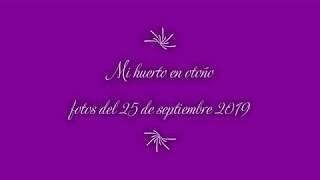 Huerto otoño 2019