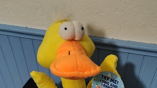 Dan Dee Singing Shaking Duck in Floatie - "Splish Splash"