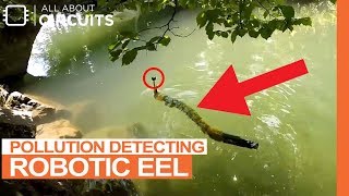Pollution Detecting Robotic Eel