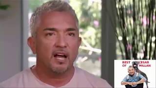 Cesar Millan's real story, real life and society