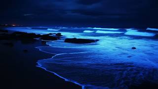 Sleep Calmly Through The Night By The Ocean | Smooth Rolling Waves For Rest 🌊 | Dark Screen 24H