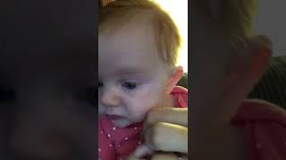 Ember around 5 months