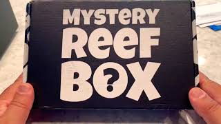 Unboxing the August Mystery Reef Box