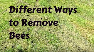 Different Ways to Remove Bees - from honey Frames or Supers            #TEKre-editedspecials