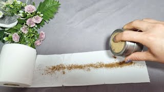 "Sprinkle Cinnamon on Toilet Paper and You'll Thank Us Forever! (Surprising Hack)