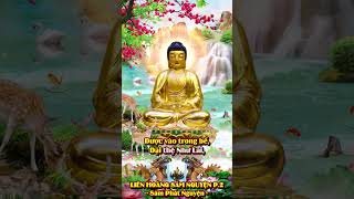 PHẦN 2= LIÊN HOÀNG SÁM NGUYỆN = Sám Phát Nguyện = Giọng tụng Thầy Thích Huệ Duyên
