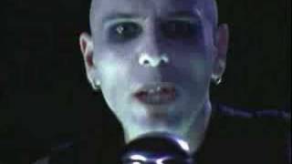 Tiger Army "Incorporeal"