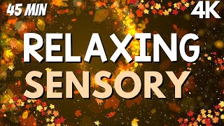 Autism Calming Music Fall Sensory Visuals to relax and unwind