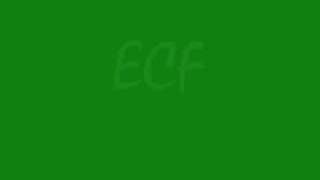 ECF = Extreme Championship Fighting! ( PROMO )