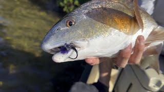 Fly Fishing REDFISH & Snook South FL Flats