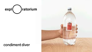 Condiment Diver - Science Snack Activity