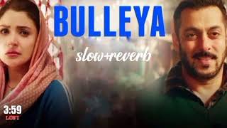 Bulleya - Papon [WORMONO Lofi Remake] | Sultan | Bollywood Lofi