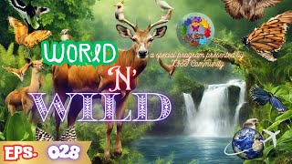 World n Wild 28: Golden Poison Dart Frog #youtube #animals #amazing #science #facts #learning