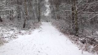 IMG 0036