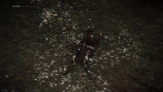 Elden Ring Malenia Solo Melee Kill