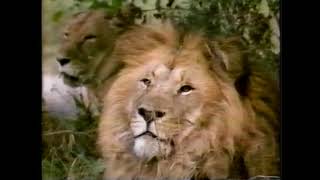 1988 Ontario Travel Commercial