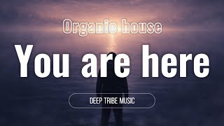 Cinematic Deep & Organic House Music | 3-Hour Atmospheric Mix