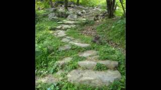 The pathless path...